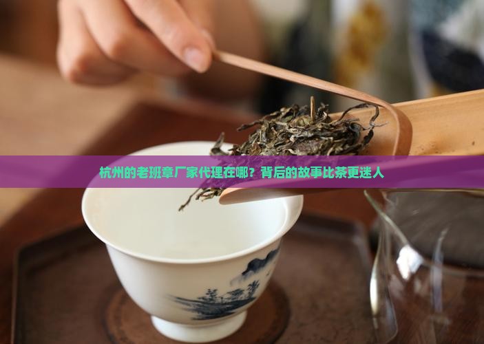 杭州老班章厂家代理