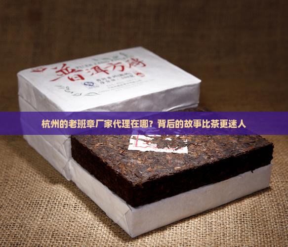 杭州老班章厂家代理