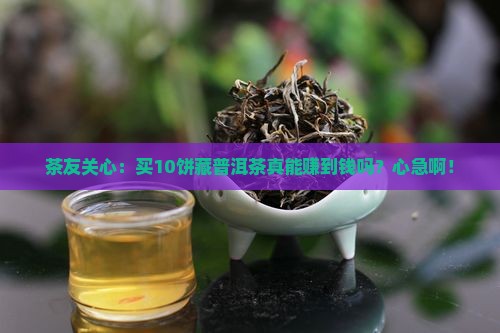 购买藏普洱茶赚钱吗