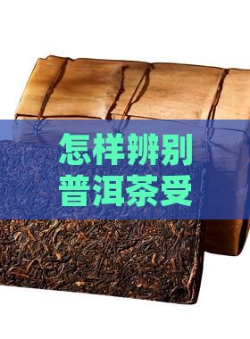 怎样辨别普洱茶受潮发霉