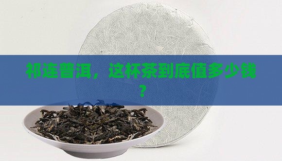 祁连普洱茶价格