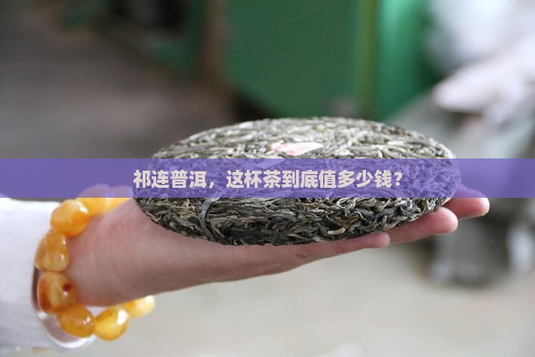 祁连普洱茶价格