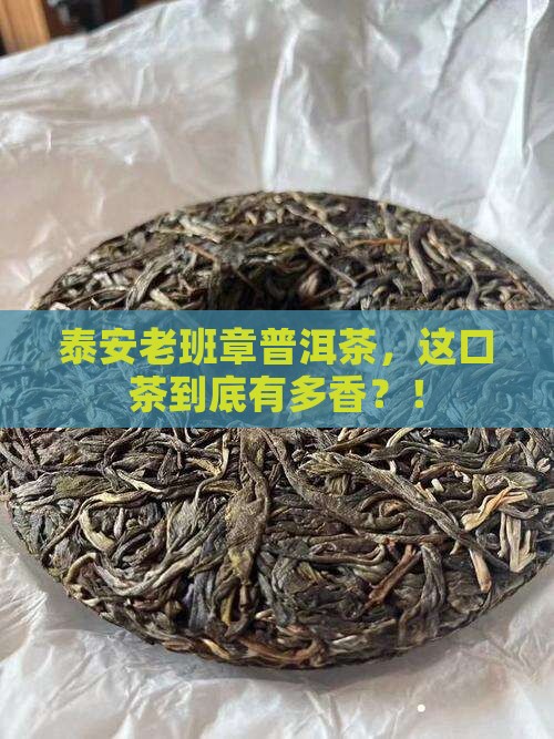 泰安老班章普洱茶