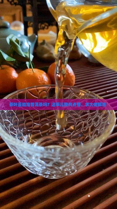 茶叶壶可以泡普洱茶吗