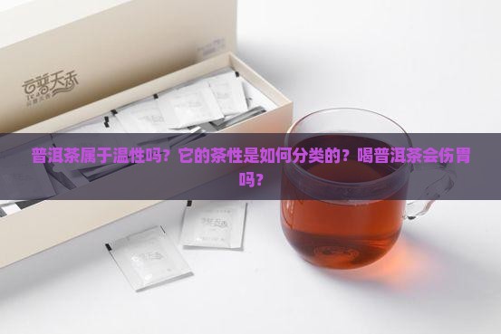 普洱茶属于温性吗