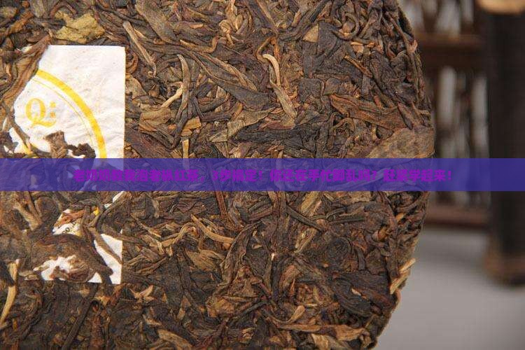 老枞红茶怎么泡才正确