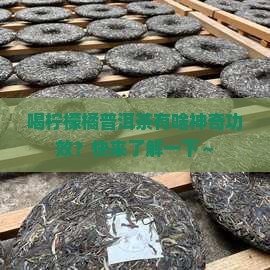 柠檬橘普洱茶的功效与作用
