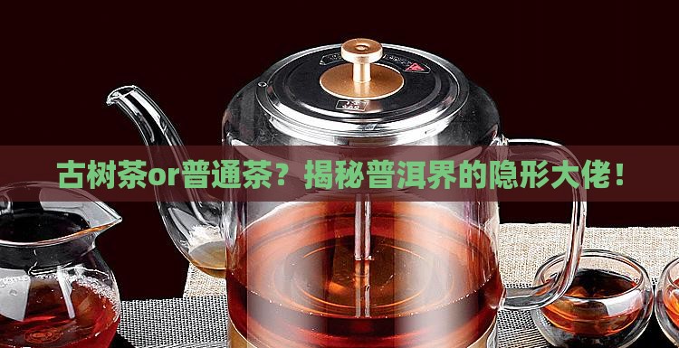 怎么分辨普洱茶古树茶