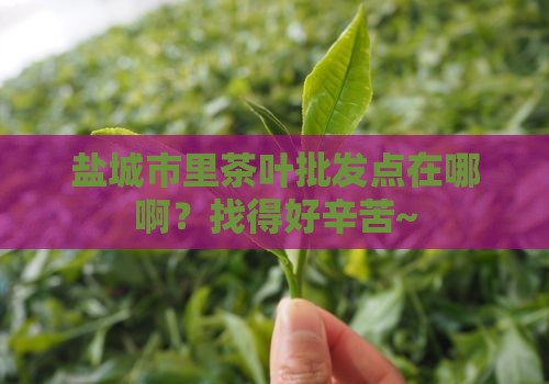 盐城茶叶批发在哪里