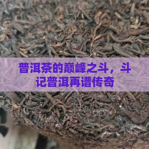 普洱茶的巅峰之斗