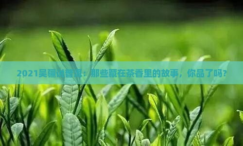 2021吴疆说普洱