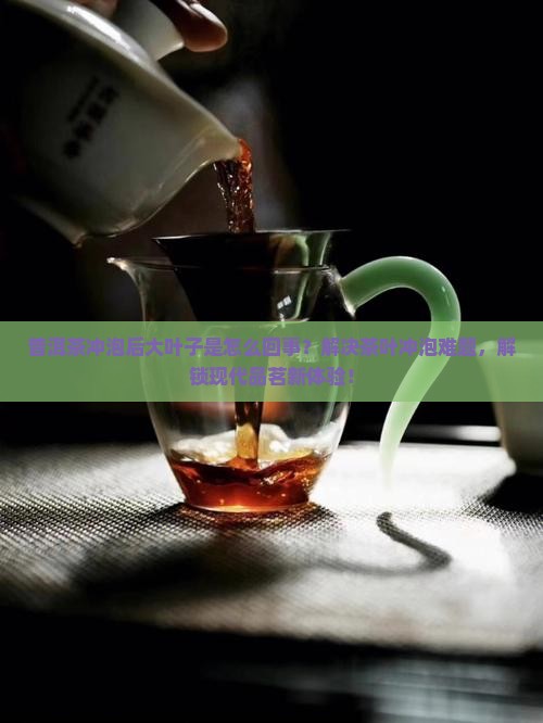 普洱茶冲泡后大叶子