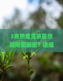 熟普洱茶3克蜂蜜