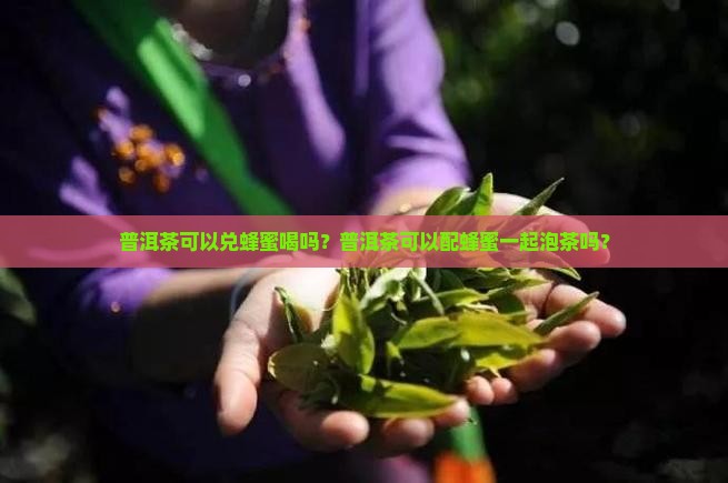 普洱茶可以兑蜂蜜喝吗