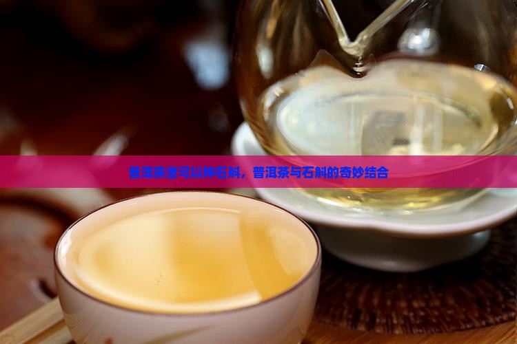 普洱茶渣可以种石斛花