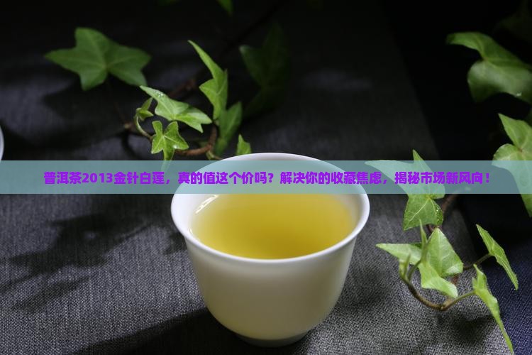 普洱茶2013金针白莲