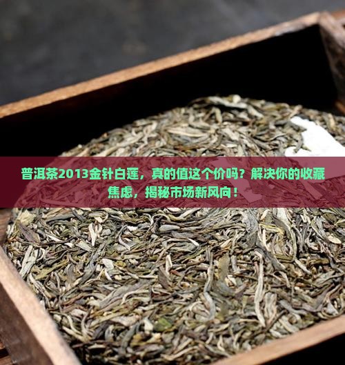 普洱茶2013金针白莲