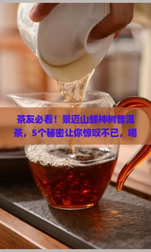 景迈山蜂神树普洱茶