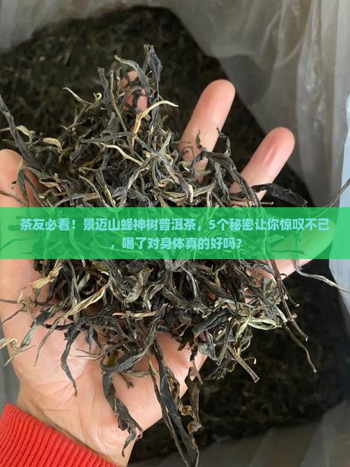 景迈山蜂神树普洱茶
