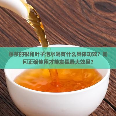 藤茶的根和叶子水的功效好