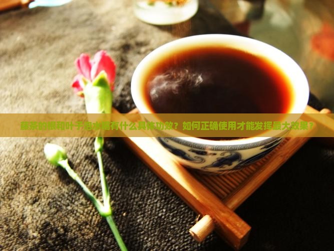 藤茶的根和叶子水的功效好
