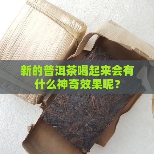 新的普洱茶有什么功效 新的普洱茶有什么功效