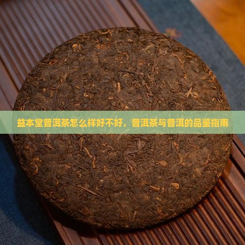益本堂普洱茶怎么样好不好