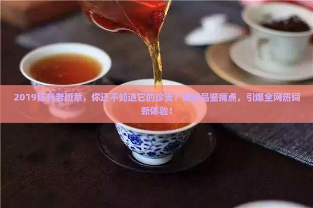 2019陈升老班章