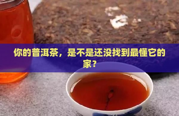 怎样存放普洱茶才合适 怎样存放普洱茶才合适