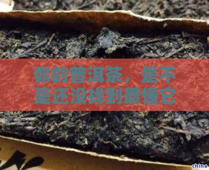怎样存放普洱茶才合适 怎样存放普洱茶才合适