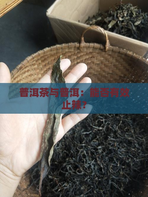 普洱茶可以止辣吗