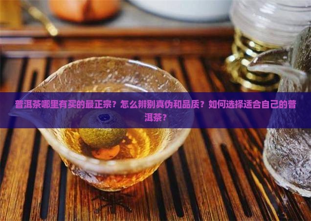 普洱茶哪里有买的