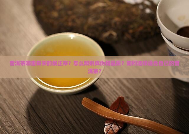 普洱茶哪里有买的