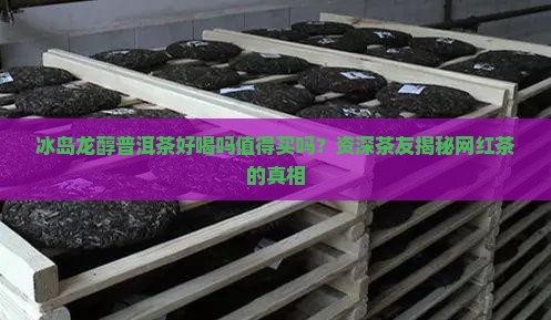 冰岛龙醇普洱茶好喝吗值得买吗