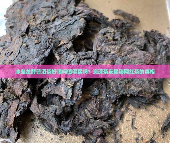 冰岛龙醇普洱茶好喝吗值得买吗