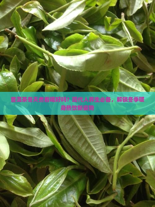 普洱茶冬天煮着喝好吗怎么喝