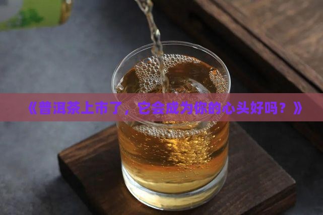 普洱茶上市特点