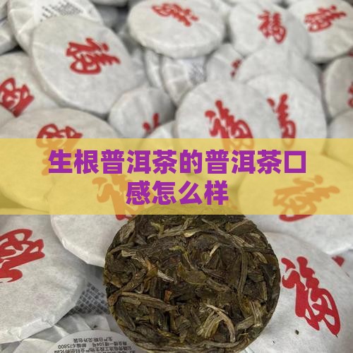 倒生根普洱茶口感怎么样