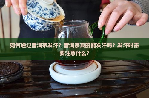 普洱茶发汗技巧 普洱茶发汗技巧