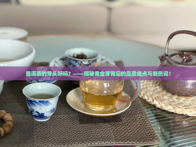 普洱茶的芽头好吗