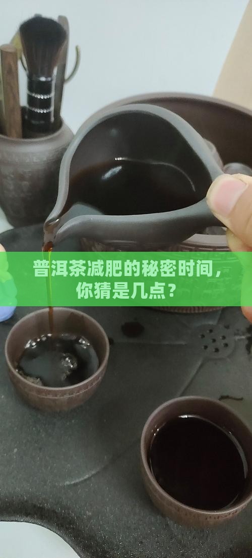 什么时间段喝普洱茶能减肥