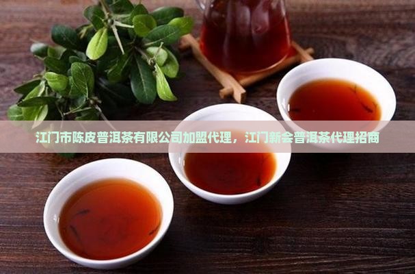 江门普洱茶代理招商 江门普洱茶代理招商