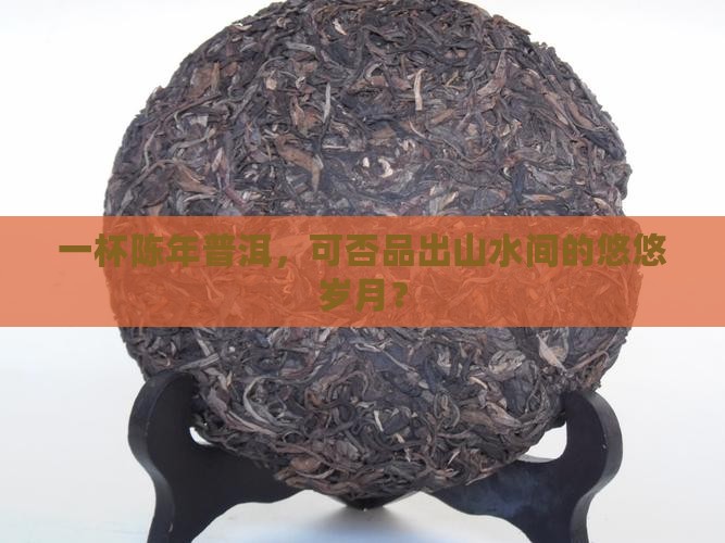 山水陈年普洱茶