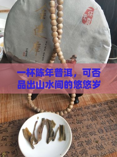 山水陈年普洱茶