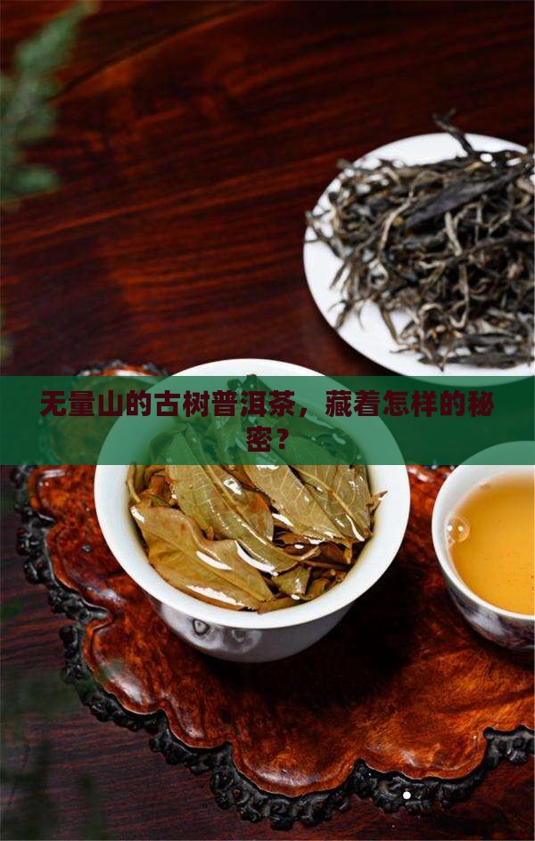 无量山古树普洱茶百度百科