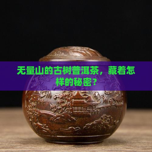 无量山古树普洱茶百度百科