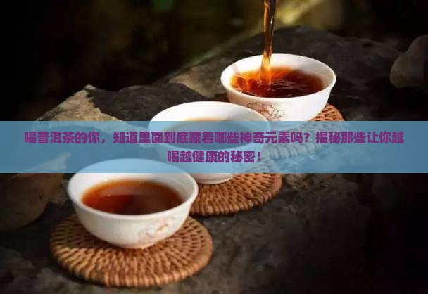 普洱茶元素成分