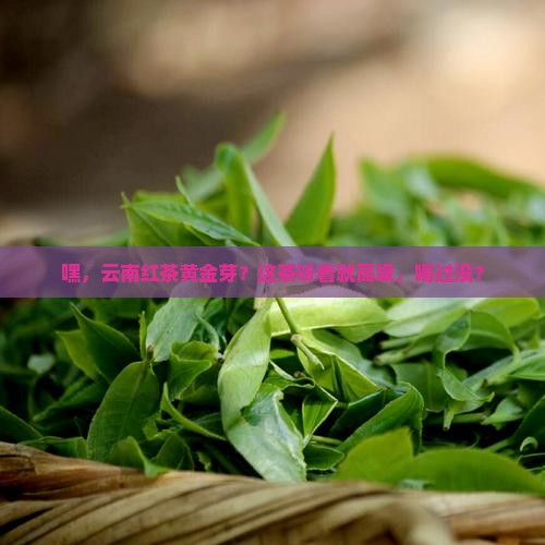 云南红茶黄金芽