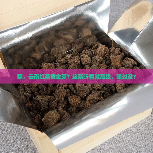 云南红茶黄金芽