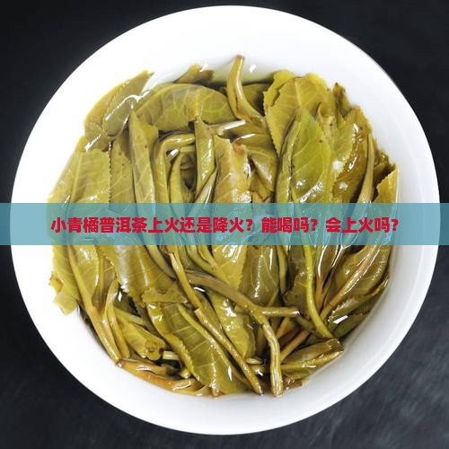 小青橘普洱茶上火